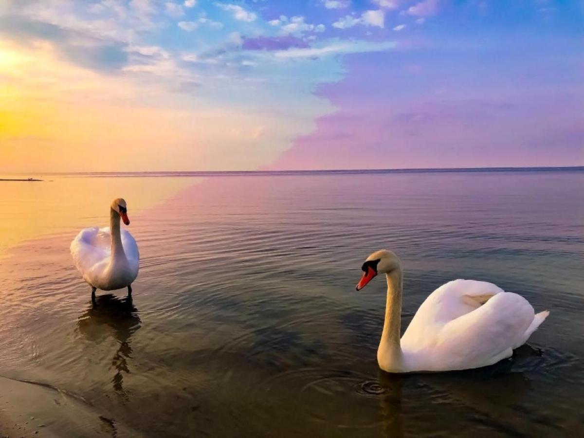 Apartmán Sunsay Yurmala Jūrkalne Exteriér fotografie
